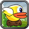  Happy Bird Escape